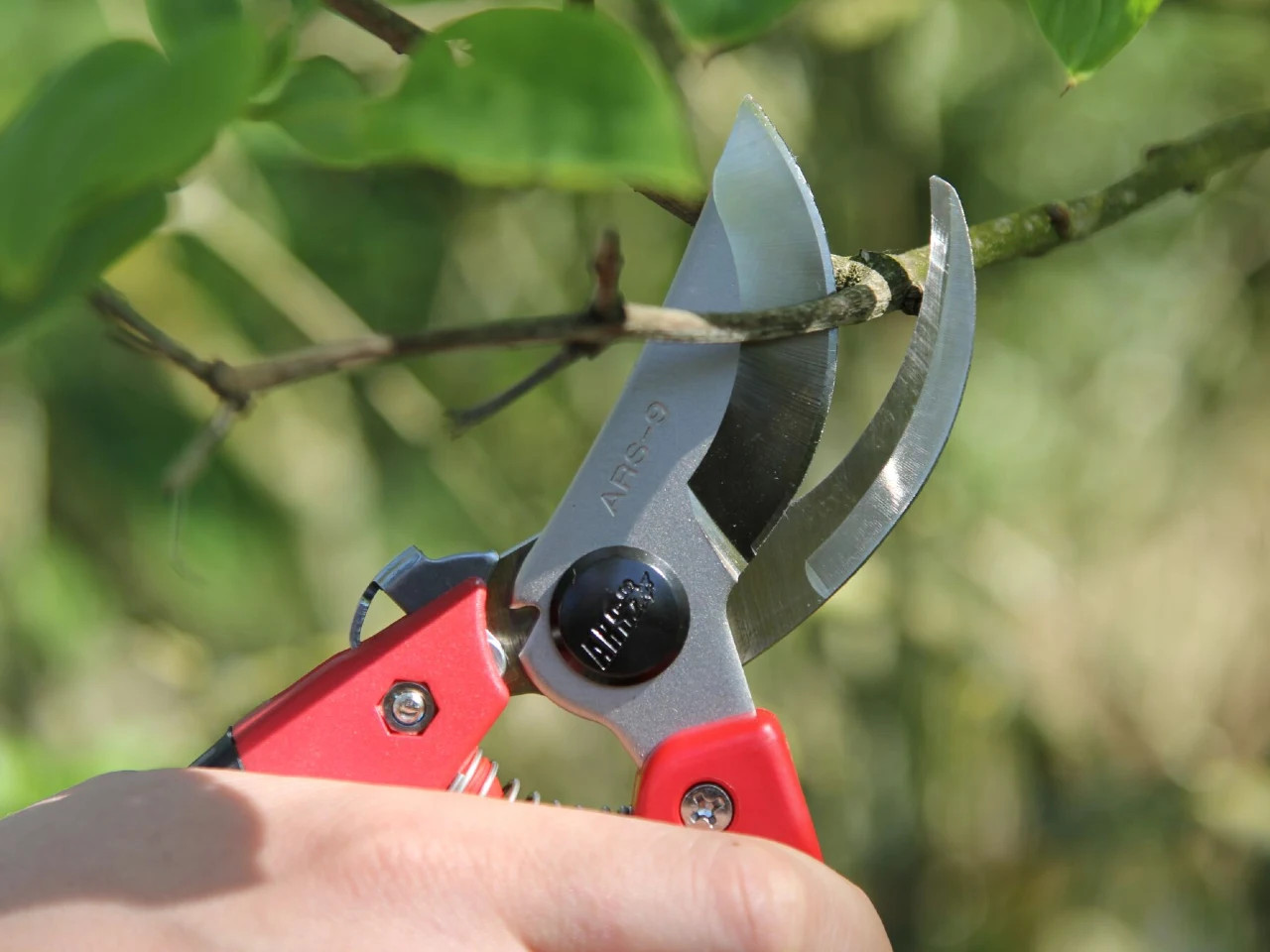 ARS Secateurs CB9 pruning shears
